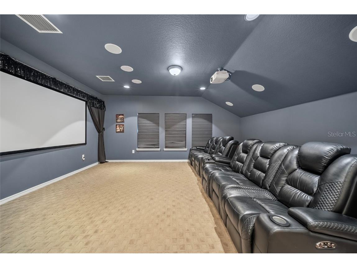 11729 Newberry Grove Loop Riverview FL 33579 TB8397415 image41