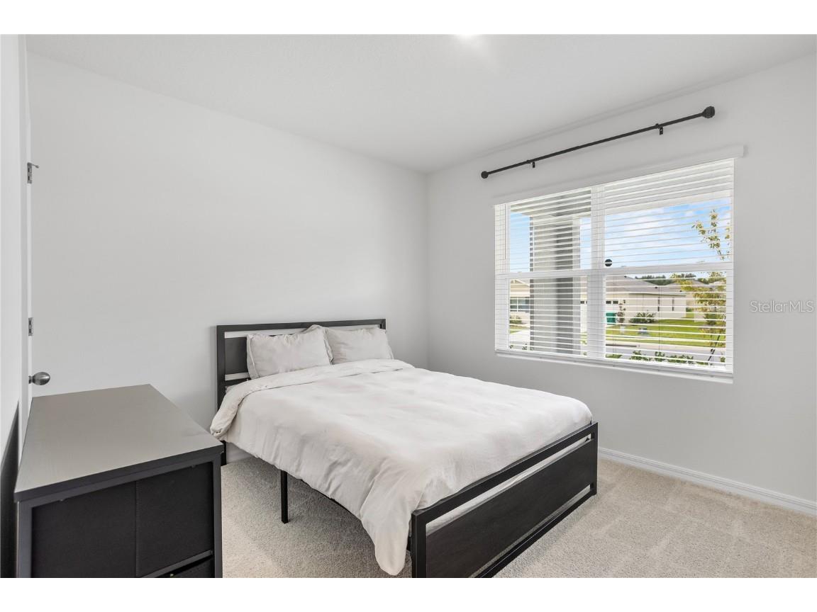 1173 Alstonia Lane Mount Dora FL 32757 O6353977 image10