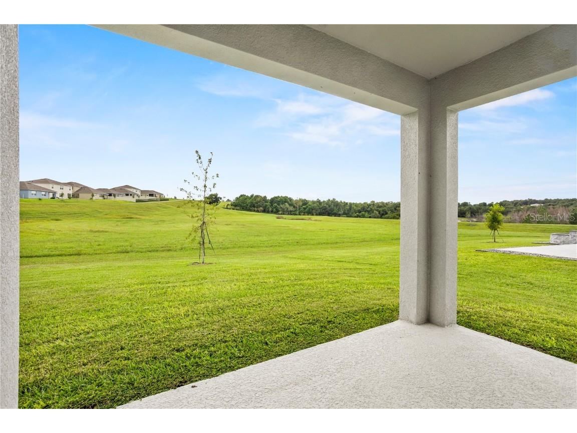 1173 Alstonia Lane Mount Dora FL 32757 O6353977 image14