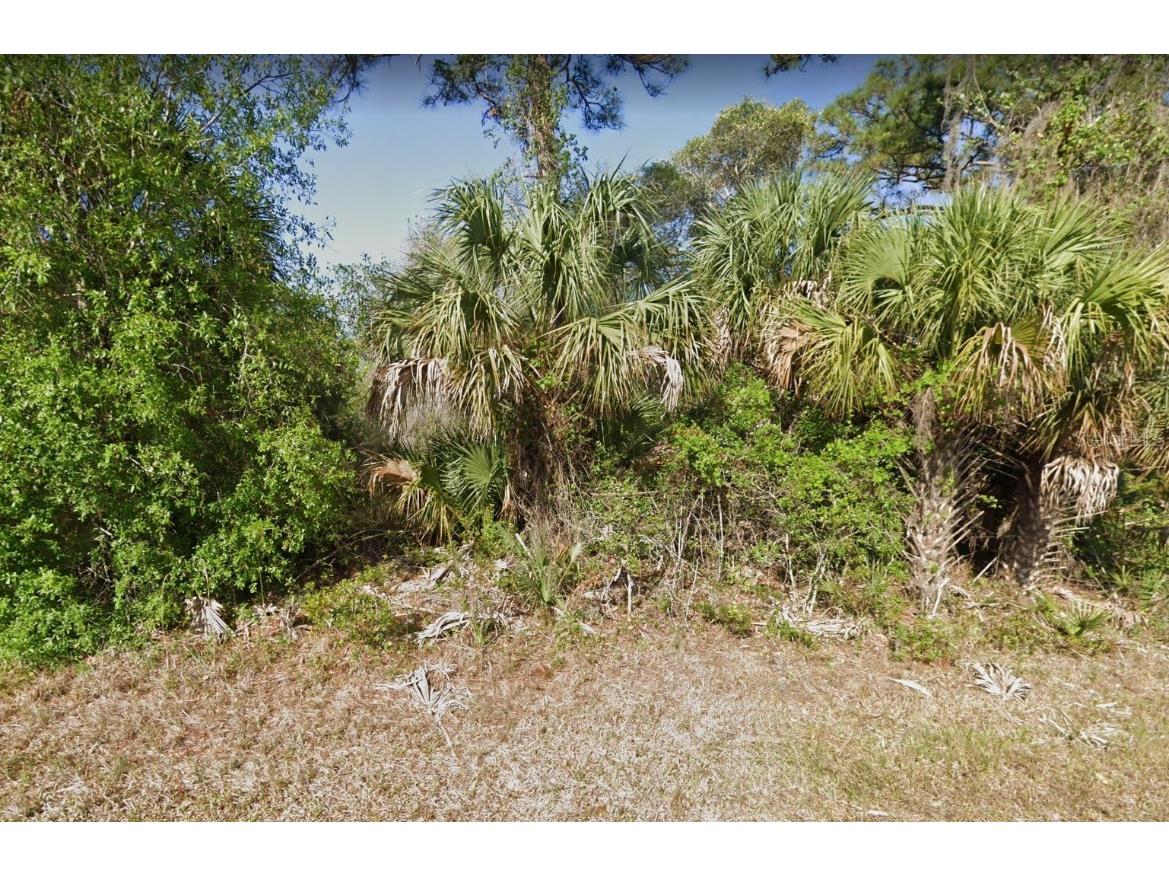 1173 Madeira Street Port Charlotte FL 33953 T3459841 image1