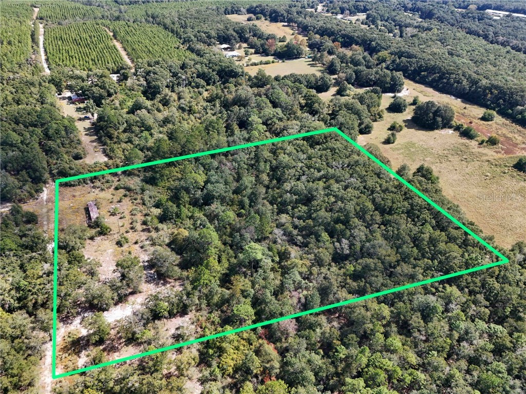 1173 N Norwood Road Defuniak Springs FL 32433 T3552411 image1