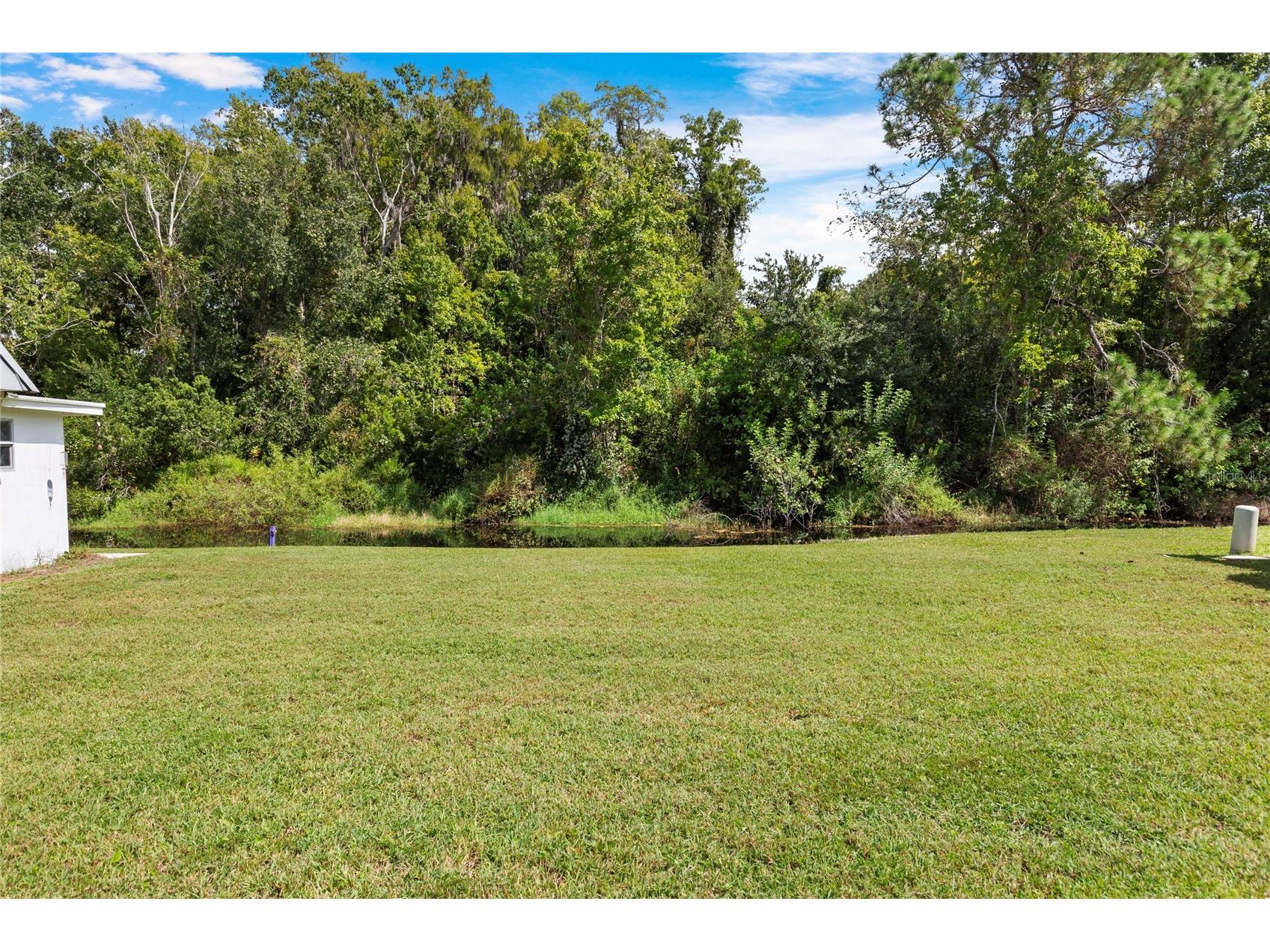 11730 Carissa Lane #0 New Port Richey FL 34654 TB8526869 image25