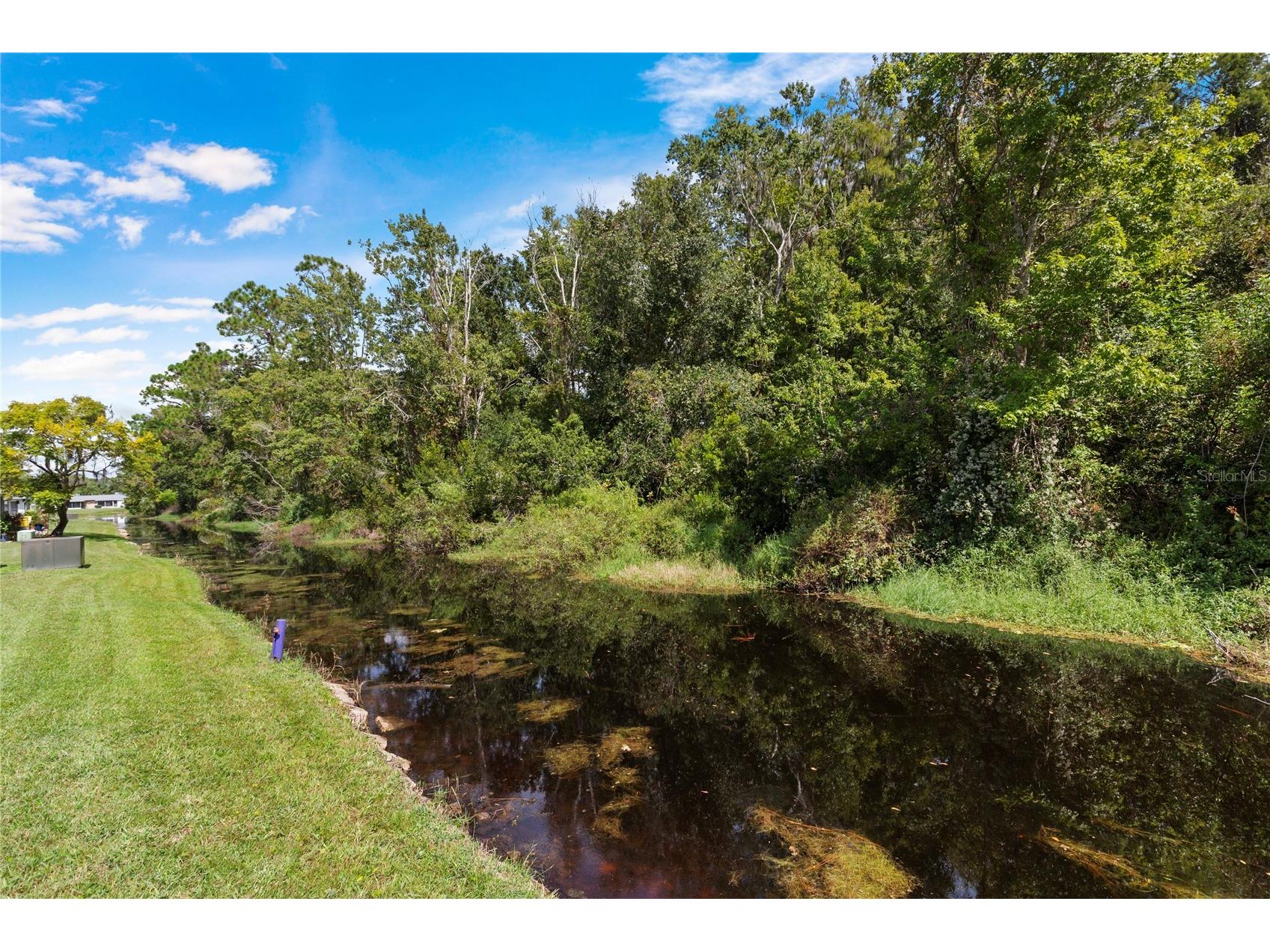 11730 Carissa Lane #0 New Port Richey FL 34654 TB8526869 image26
