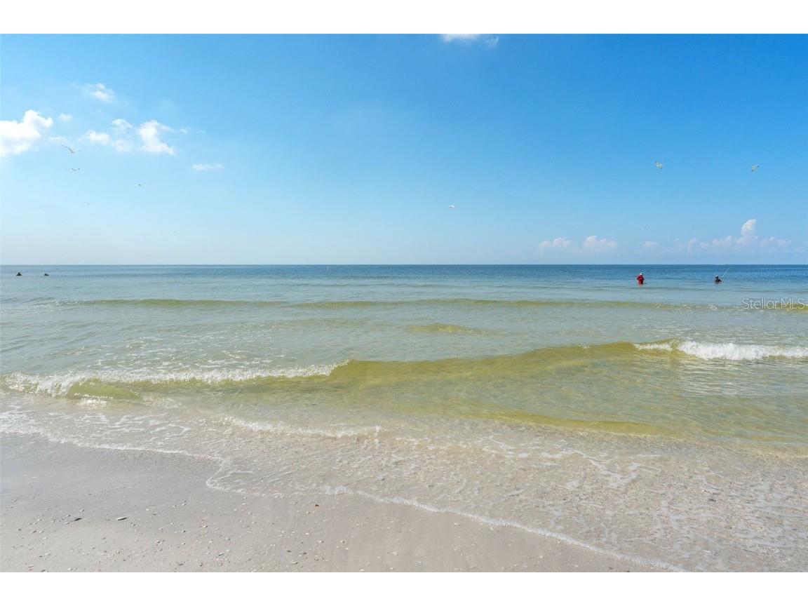 11730 Gulf Boulevard #12 Saint Petersburg FL 33706 TB8303178 image28