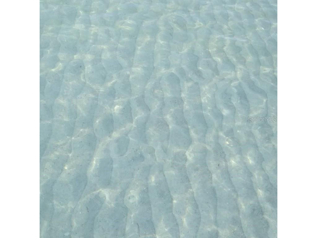 11730 Gulf Boulevard #9 Treasure Island FL 33706 - GULF OF AMERICA TB8396773 image11