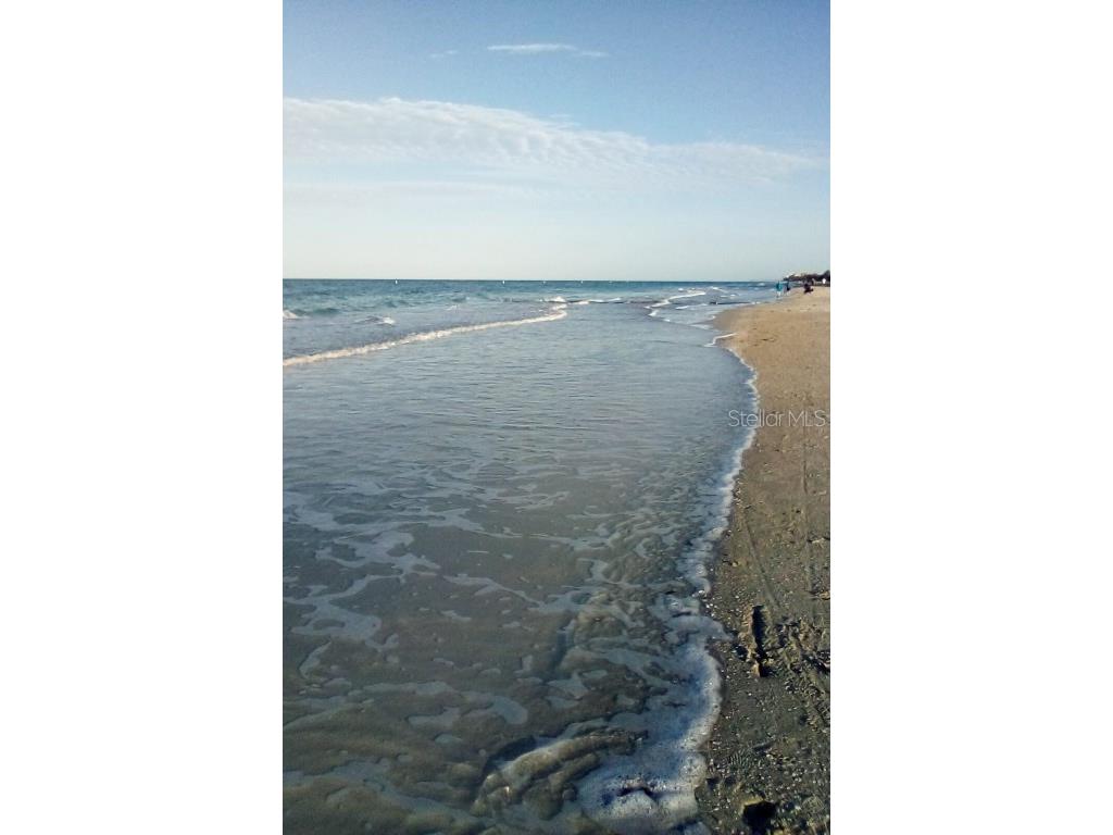 11730 Gulf Boulevard #9 Treasure Island FL 33706 - GULF OF AMERICA TB8396773 image50