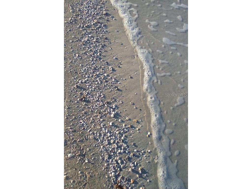 11730 Gulf Boulevard #9 Treasure Island FL 33706 - GULF OF AMERICA TB8396773 image51