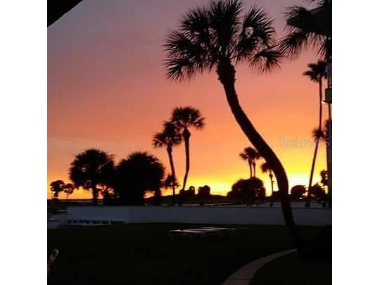 11730 Gulf Boulevard #9 Treasure Island FL 33706 - GULF OF AMERICA TB8396773 image52