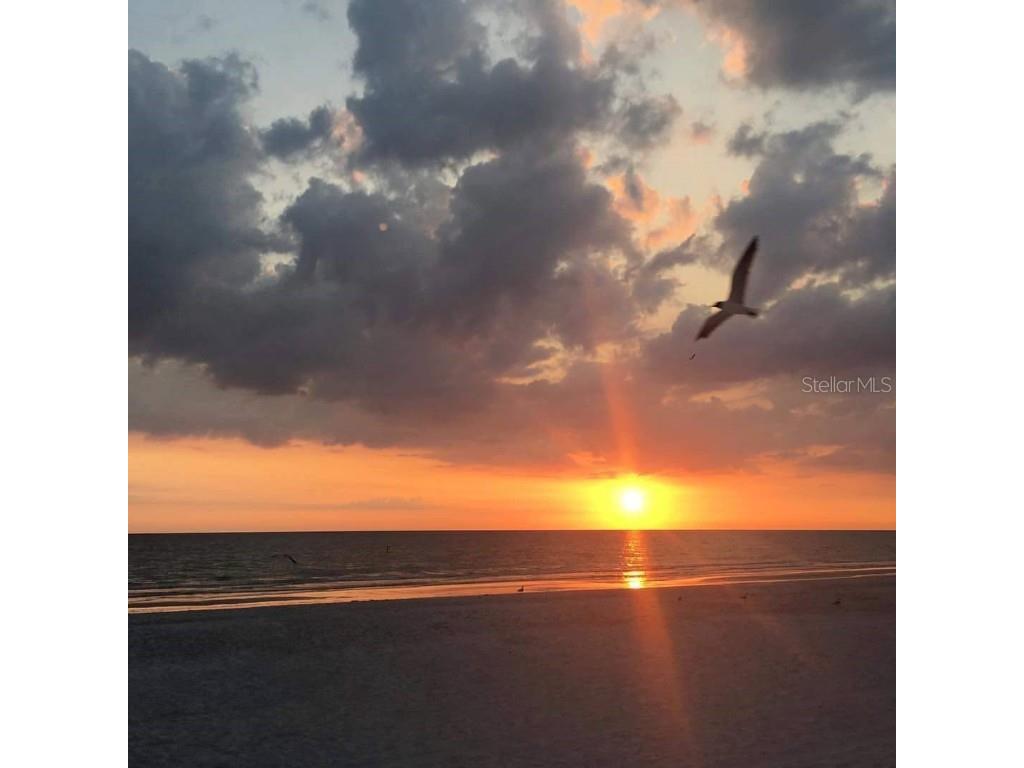 11730 Gulf Boulevard #9 Treasure Island FL 33706 - GULF OF AMERICA TB8396773 image62