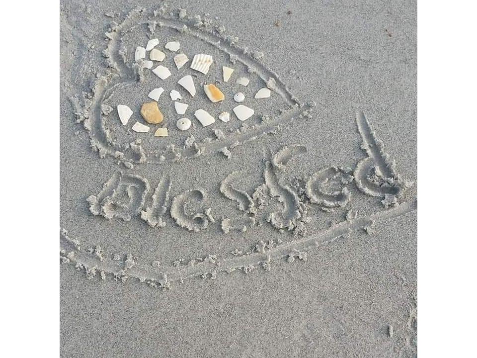 11730 Gulf Boulevard #9 Treasure Island FL 33706 - GULF OF AMERICA TB8396773 image69