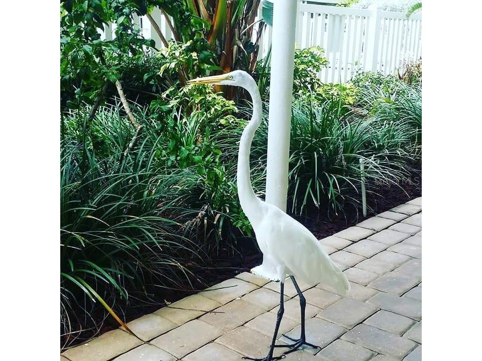 11730 Gulf Boulevard #9 Treasure Island FL 33706 - GULF OF AMERICA TB8396773 image70