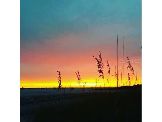 11730 Gulf Boulevard #9 Treasure Island FL 33706 - GULF OF AMERICA TB8396773 image72