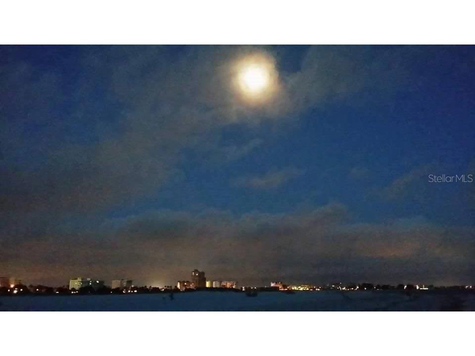 11730 Gulf Boulevard #9 Treasure Island FL 33706 - GULF OF AMERICA TB8396773 image84