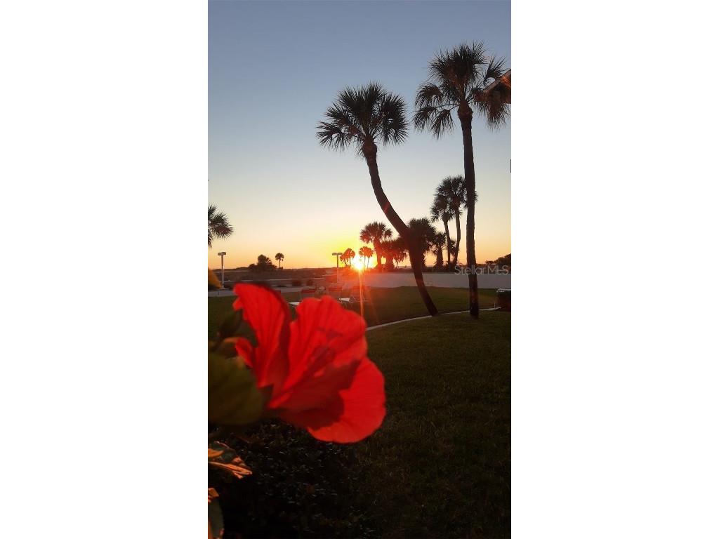 11730 Gulf Boulevard #9 Treasure Island FL 33706 - GULF OF AMERICA TB8396773 image99