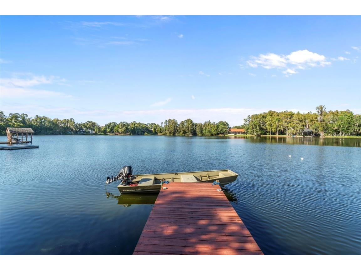 11730 Lipsey Road Tampa FL 33618 - LAKE LIPSEY T3483837 image1