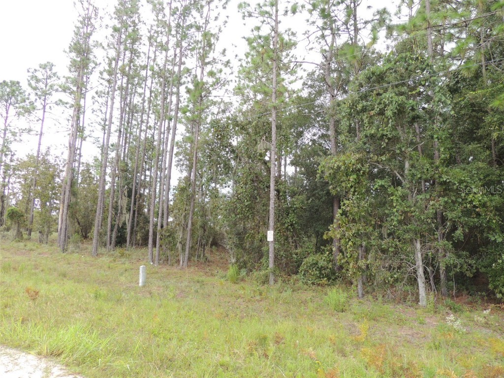 11730 NE 101st Terrace Archer FL 32618 OM709320 image4