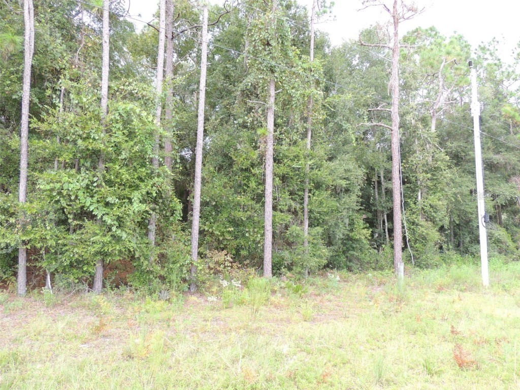 11730 NE 101st Terrace Archer FL 32618 OM709320 image5