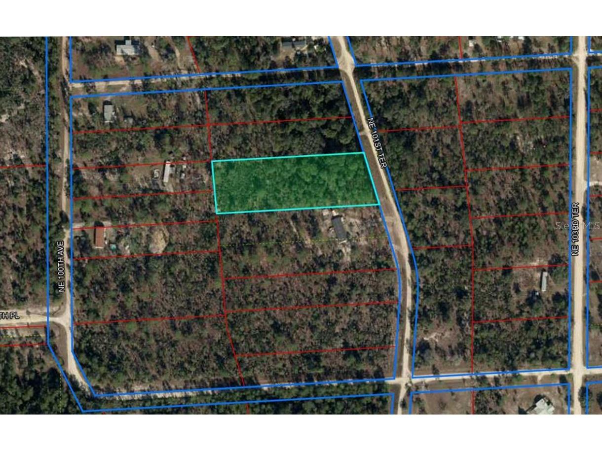 11730 NE 101st Terrace Archer FL 32618 OM709320 image7