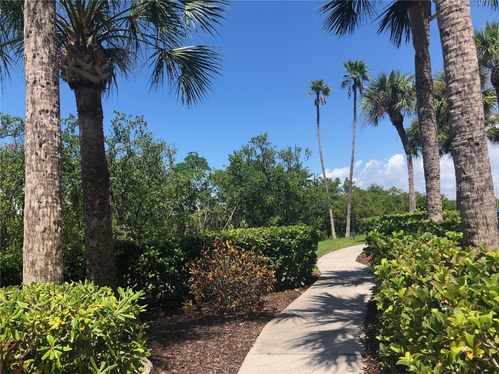11730 Shipwatch Drive #202 Largo FL 33774 - INTRACOASTAL WATERWAY TB8422814 image59