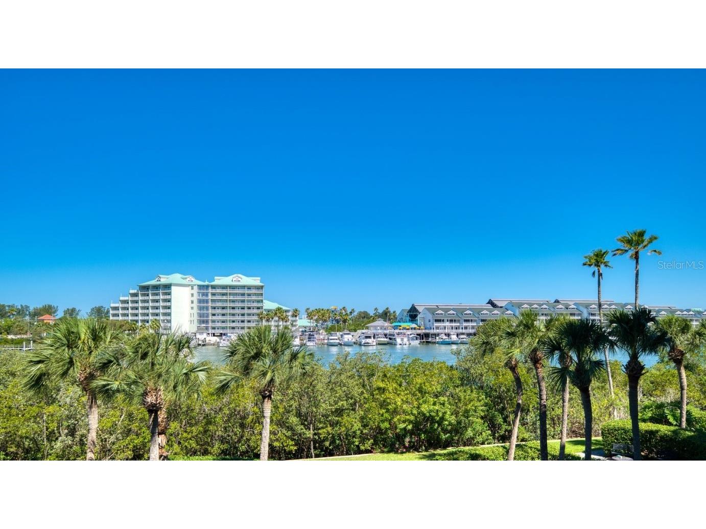 11730 Shipwatch Drive #305 Largo FL 33774 U8198315 image19