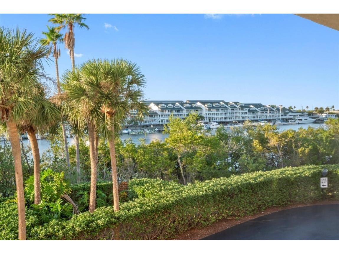 11730 Shipwatch Drive #305 Largo FL 33774 U8198315 image21