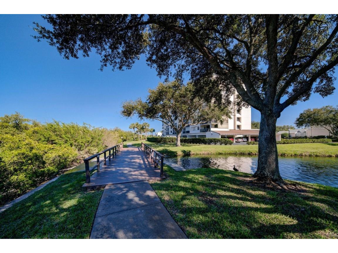 11730 Shipwatch Drive #305 Largo FL 33774 U8198315 image35