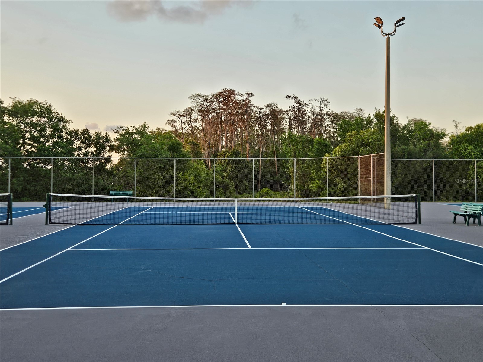 11730 Whitewing Court Orlando FL 32837 O6393514 image22