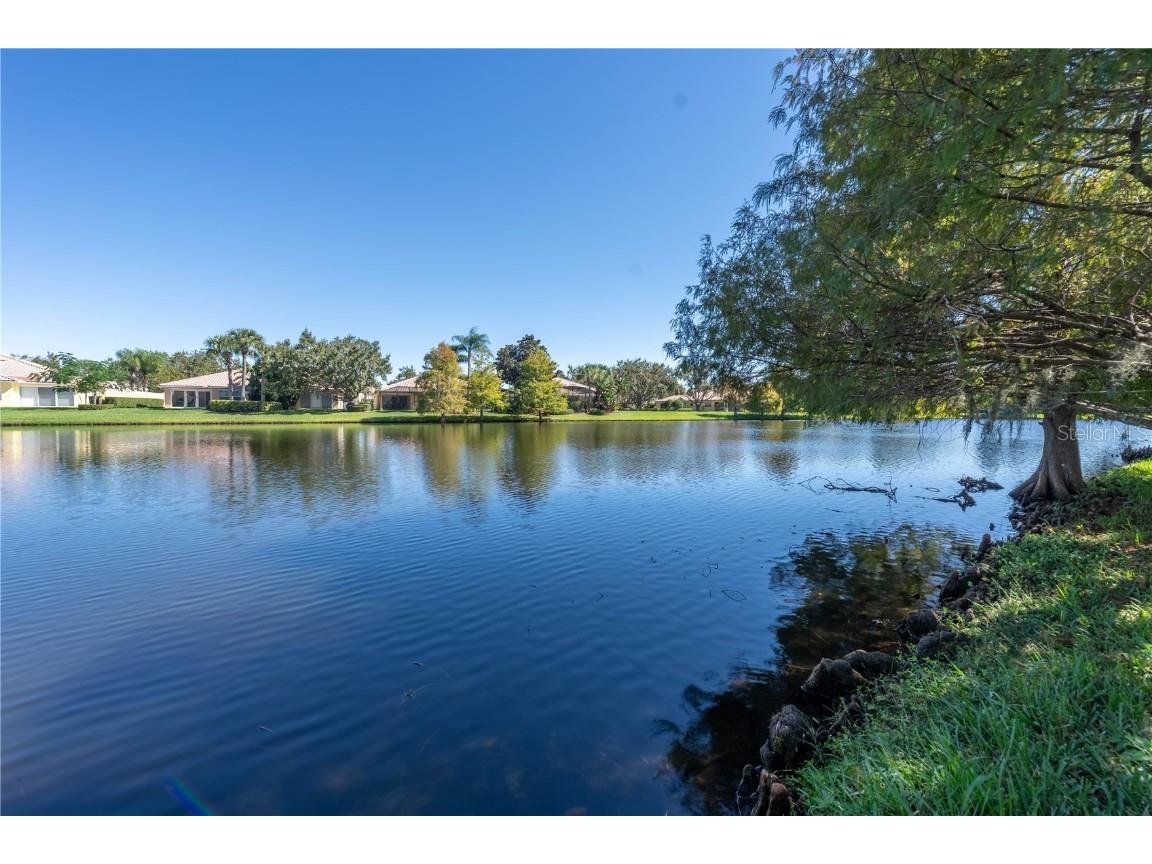 11731 Eagle Ray Lane Orlando FL 32827 O6356279 image44