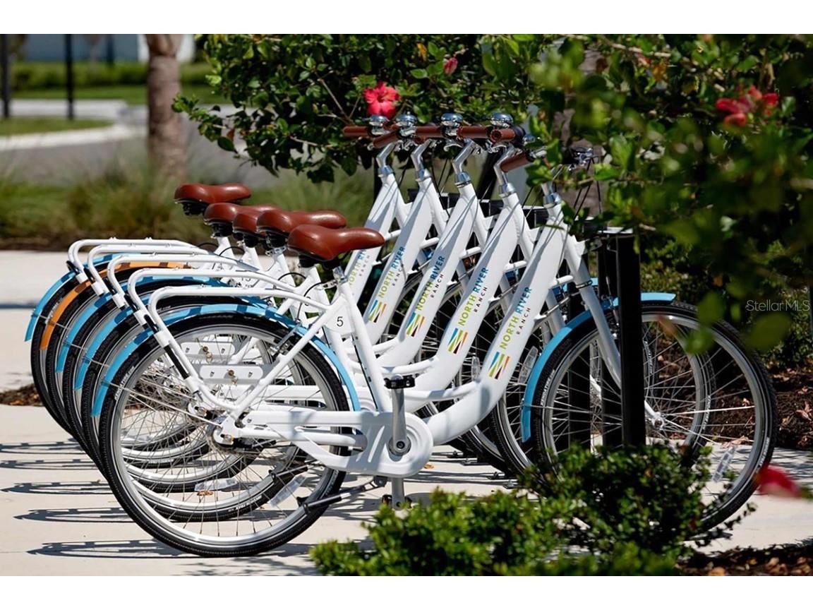 11731 Full Moon Loop Parrish FL 34219 TB8431887 image13