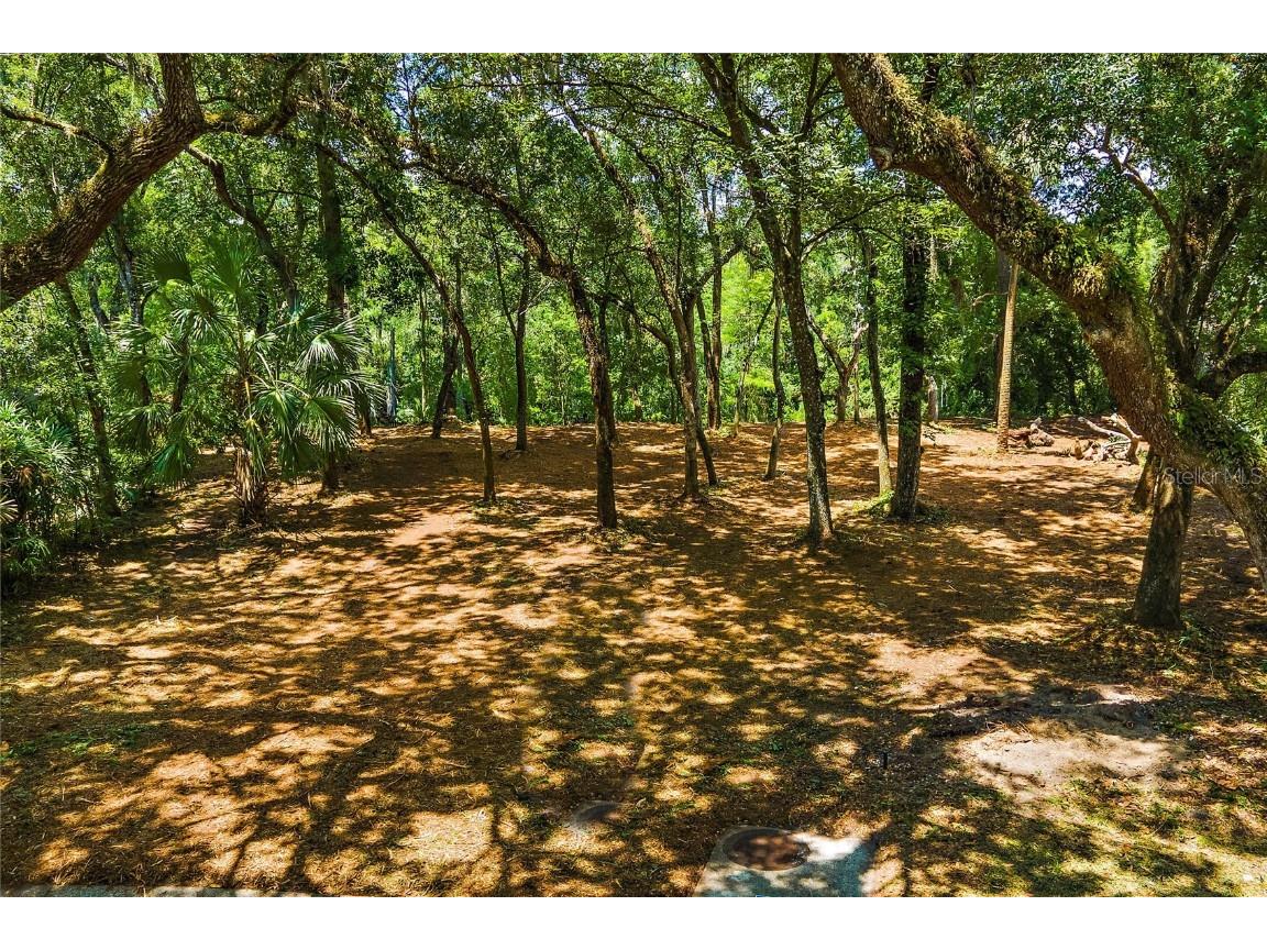 11731 Gail Drive Temple Terrace FL 33617 - HILLSBOROUGH RIVER TB8440114 image1