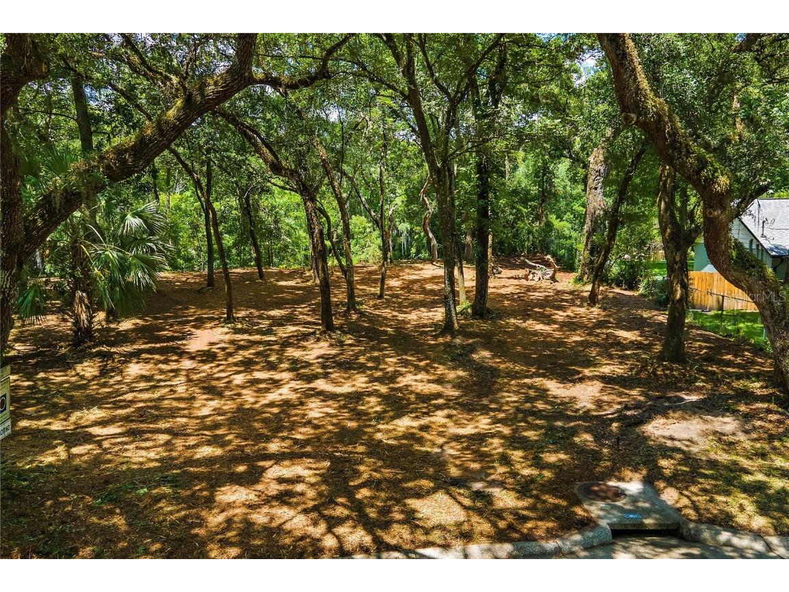 11731 Gail Drive Temple Terrace FL 33617 - HILLSBOROUGH RIVER TB8440114 image11