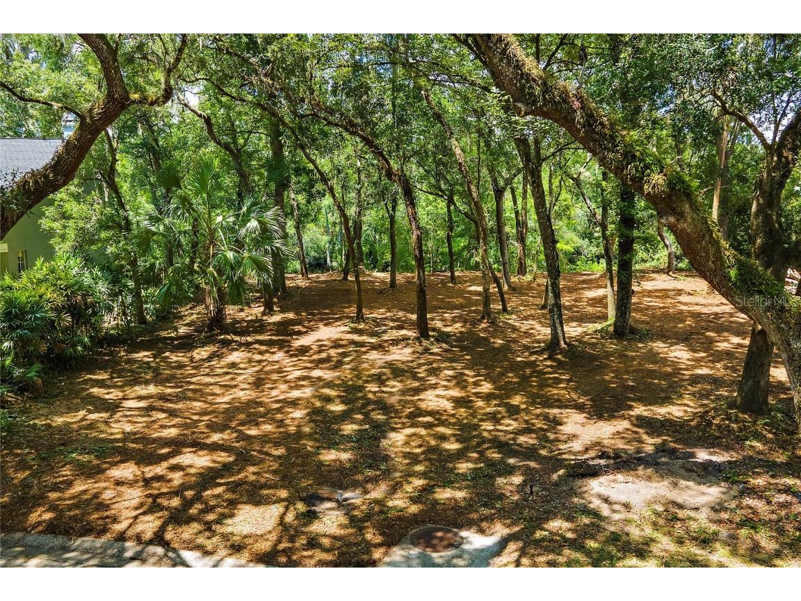 11731 Gail Drive Temple Terrace FL 33617 - HILLSBOROUGH RIVER TB8440114 image12