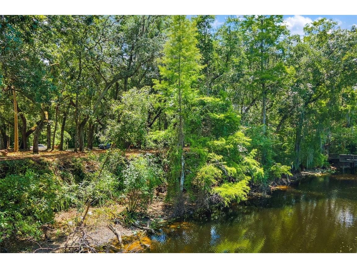 11731 Gail Drive Temple Terrace FL 33617 - HILLSBOROUGH RIVER TB8440114 image13