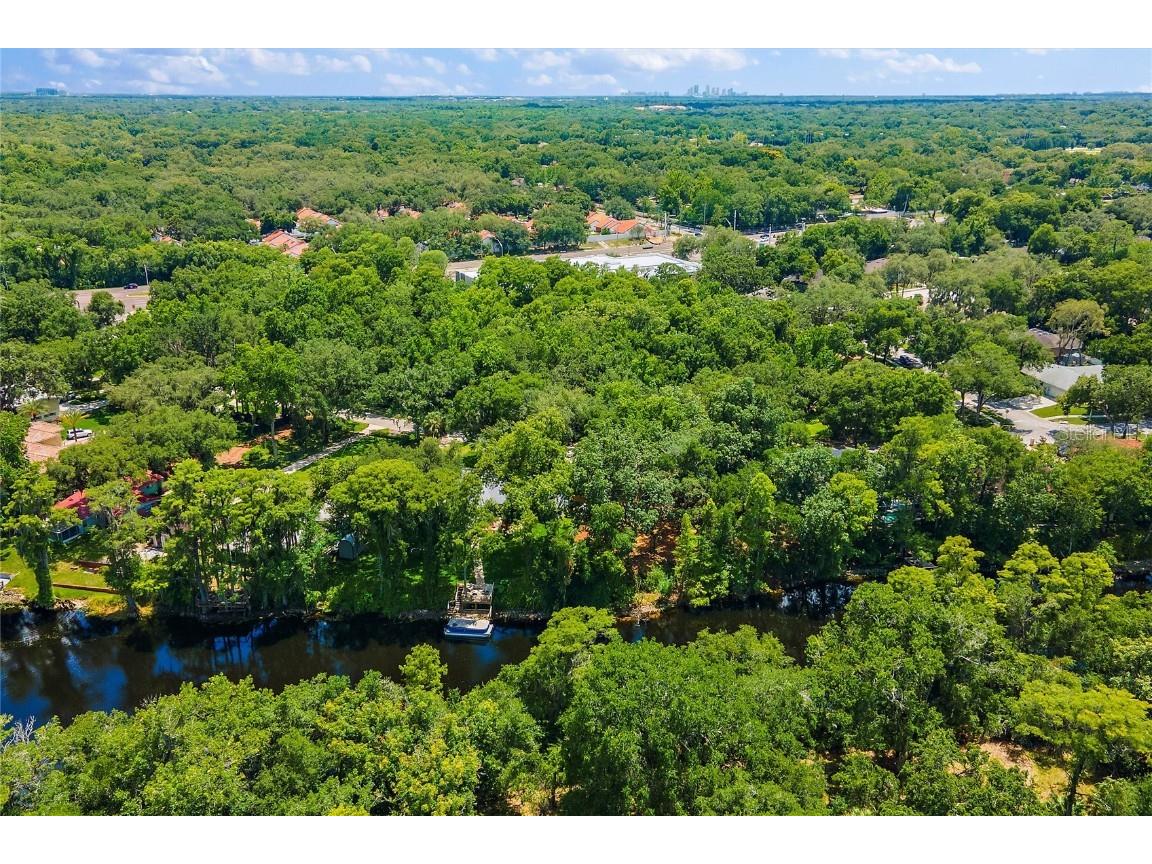 11731 Gail Drive Temple Terrace FL 33617 - HILLSBOROUGH RIVER TB8440114 image14