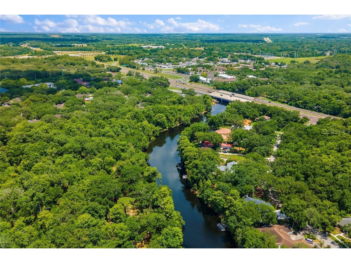 11731 Gail Drive Temple Terrace FL 33617 - HILLSBOROUGH RIVER TB8440114 image16