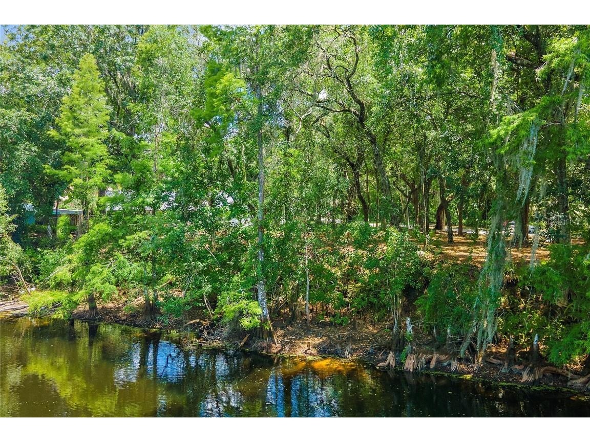 11731 Gail Drive Temple Terrace FL 33617 - HILLSBOROUGH RIVER TB8440114 image2