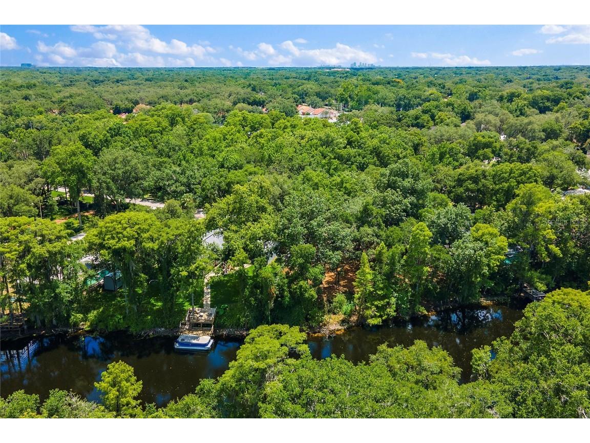 11731 Gail Drive Temple Terrace FL 33617 - HILLSBOROUGH RIVER TB8440114 image3