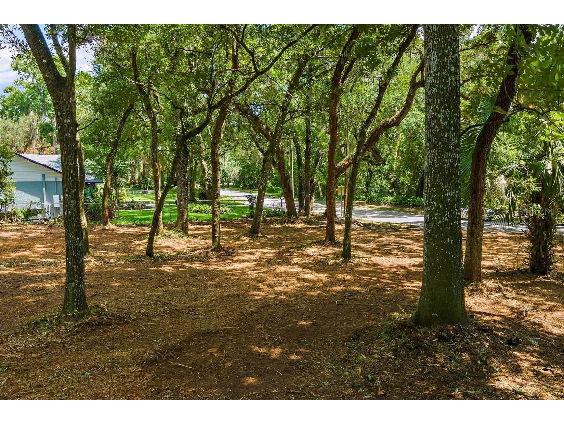 11731 Gail Drive Temple Terrace FL 33617 - HILLSBOROUGH RIVER TB8440114 image5