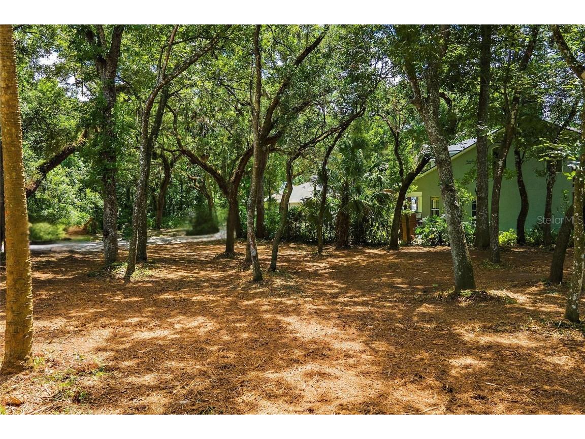 11731 Gail Drive Temple Terrace FL 33617 - HILLSBOROUGH RIVER TB8440114 image6