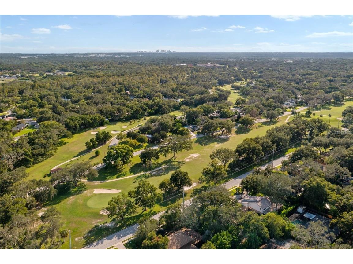 11731 Gail Drive Temple Terrace FL 33617 - HILLSBOROUGH RIVER TB8440114 image9