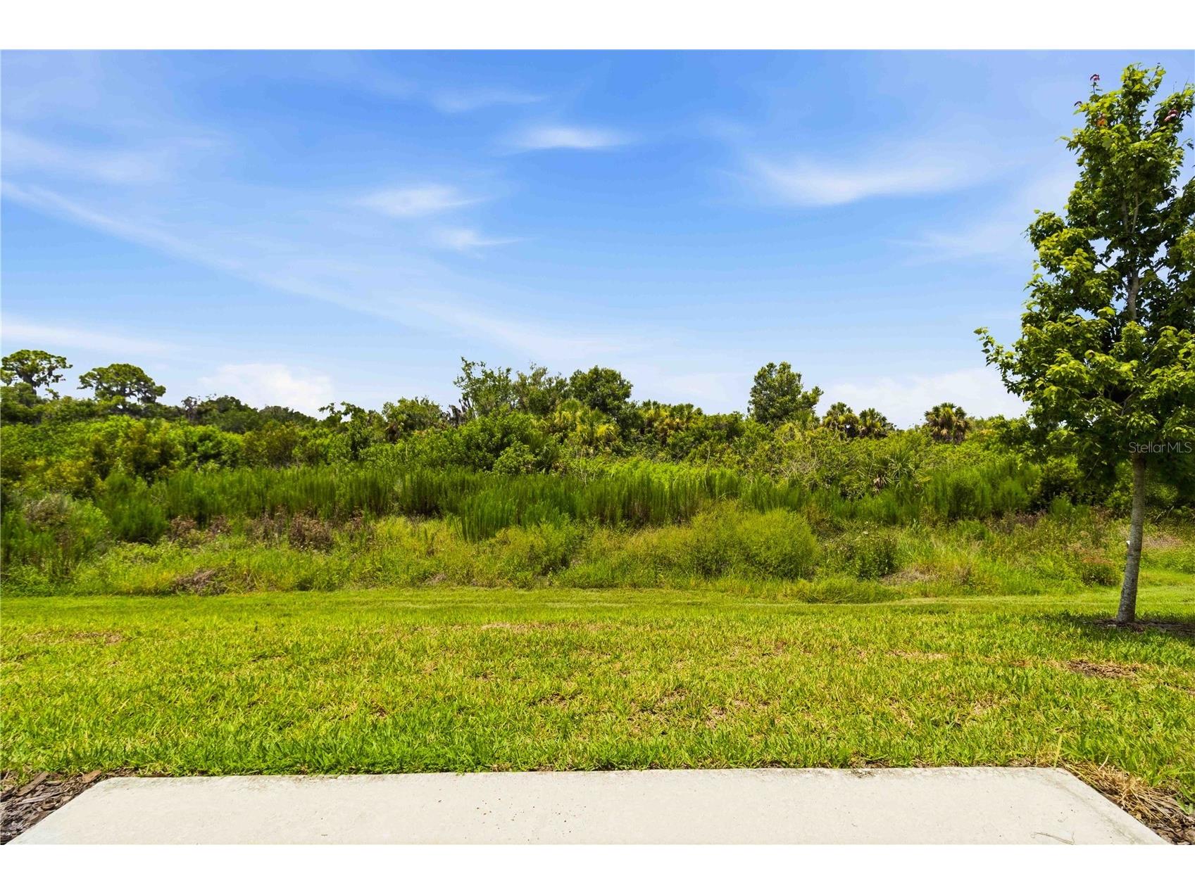 11731 Glenside Terrace Palmetto FL 34221 A4698971 image34