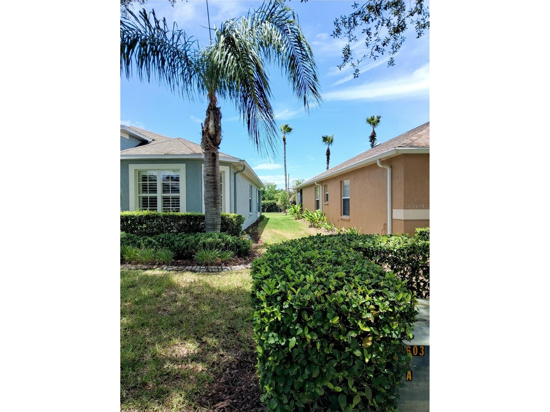 11731 Heritage Point Drive Hudson FL 34667 W7886708 image3