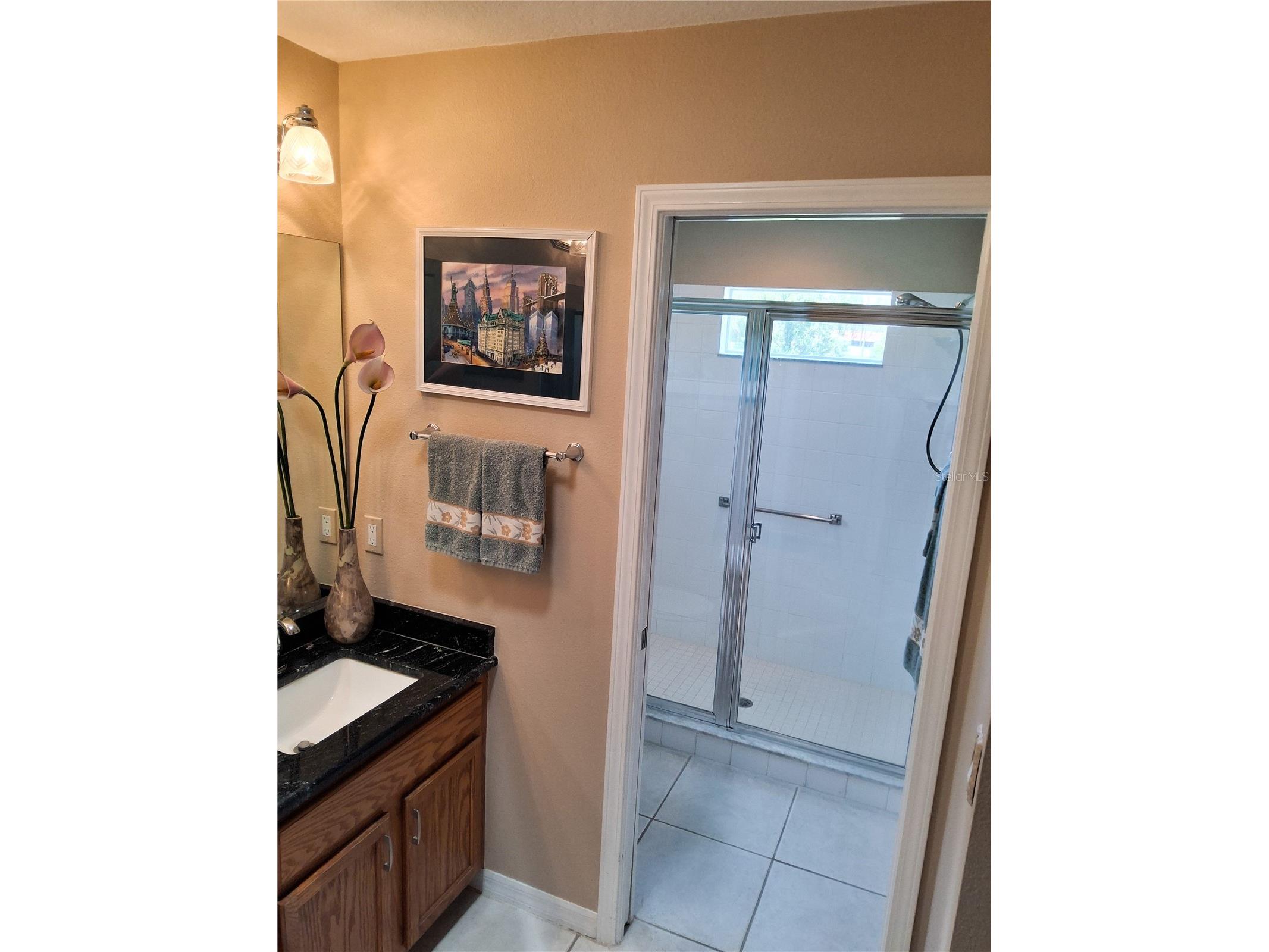 11731 Heritage Point Drive Hudson FL 34667 W7886708 image38
