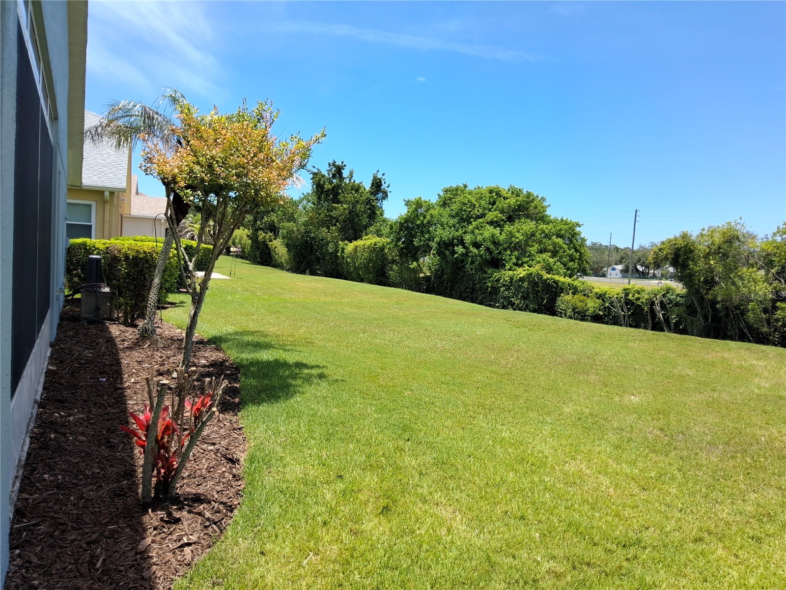 11731 Heritage Point Drive Hudson FL 34667 W7886708 image5