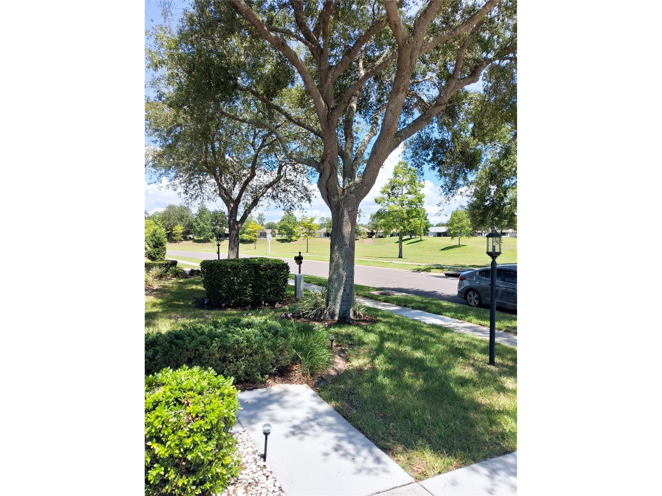 11731 Heritage Point Drive Hudson FL 34667 W7886708 image55