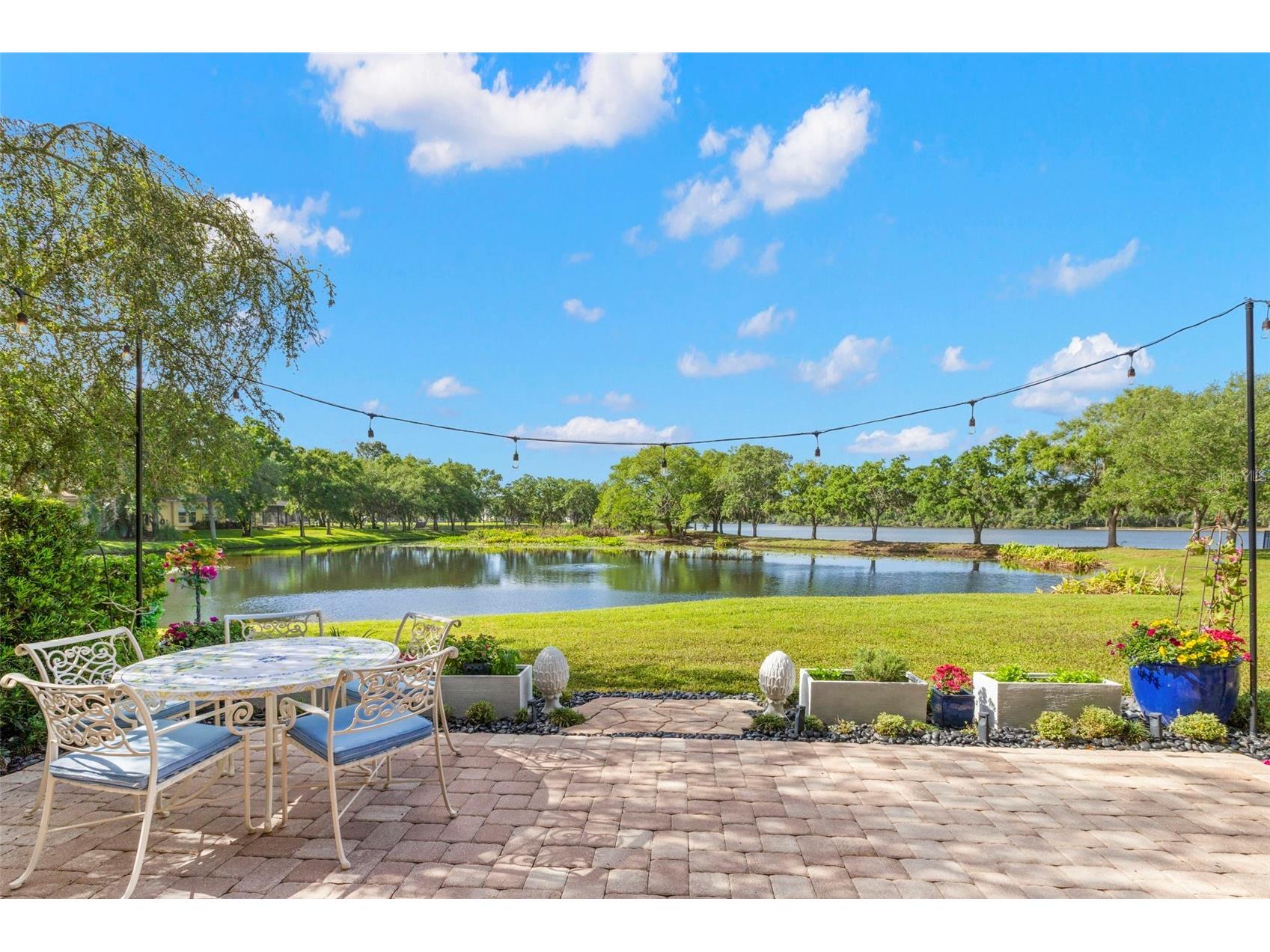 11732 Casa Lago Lane Tampa FL 33626 TB8499047 image1