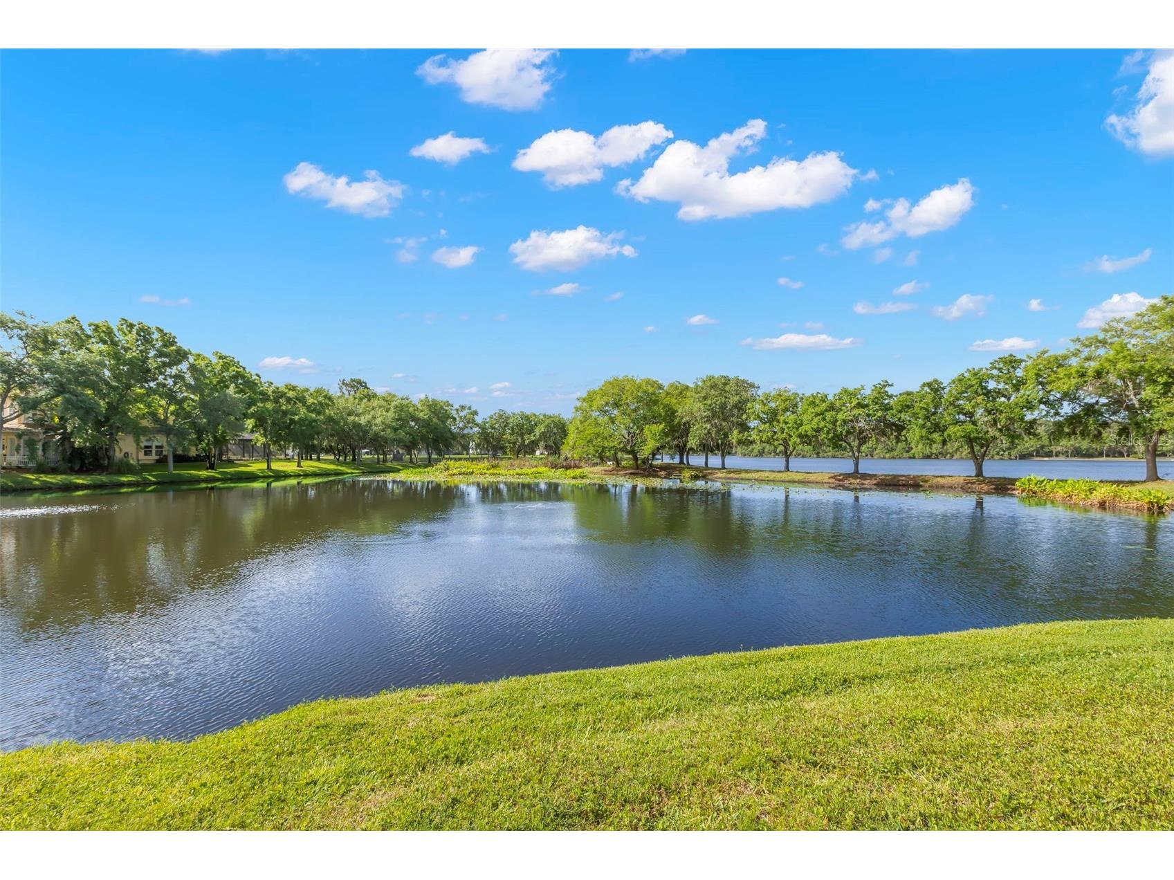 11732 Casa Lago Lane Tampa FL 33626 TB8499047 image23