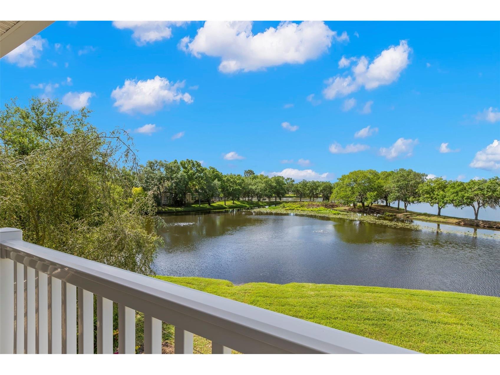 11732 Casa Lago Lane Tampa FL 33626 TB8499047 image38