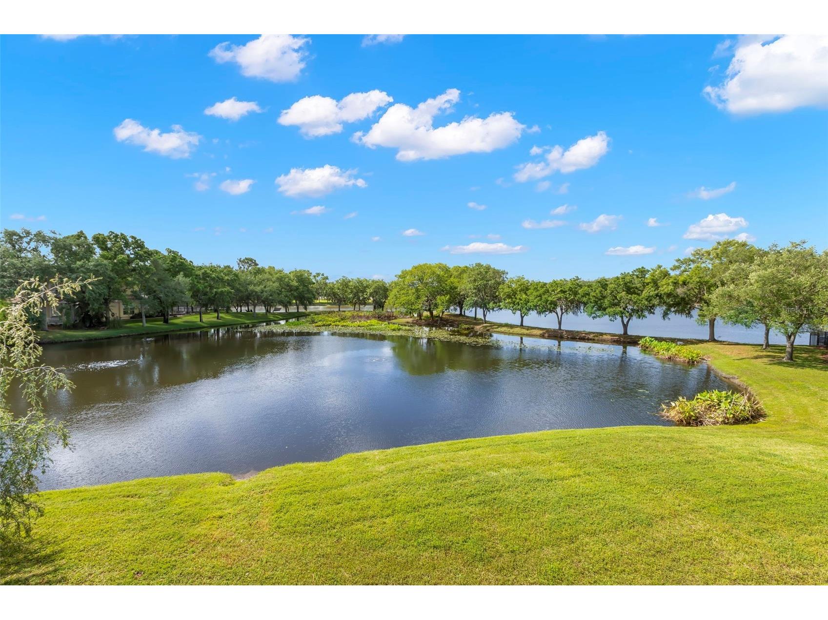 11732 Casa Lago Lane Tampa FL 33626 TB8499047 image39