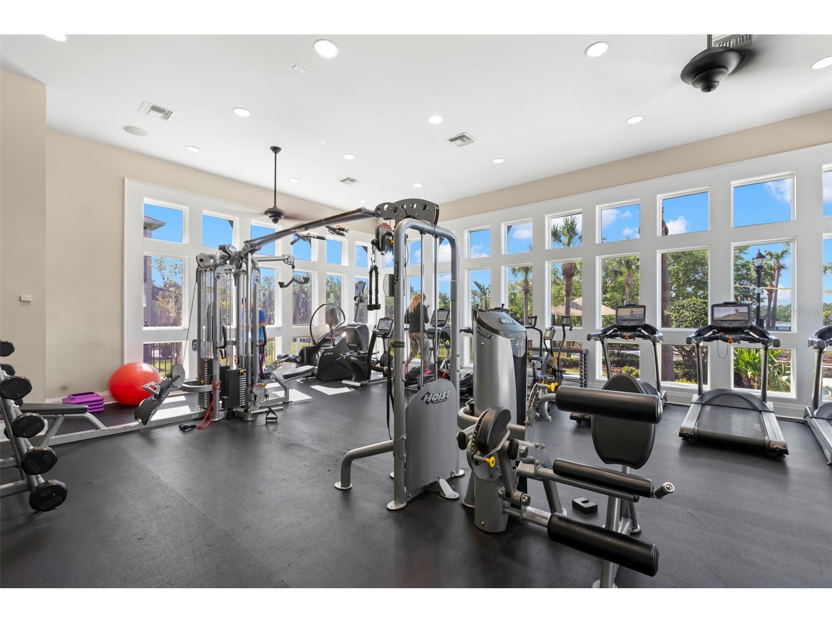 11732 Casa Lago Lane Tampa FL 33626 TB8499047 image60